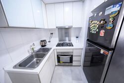Oasis @ Elias (D18), Condominium #625573361